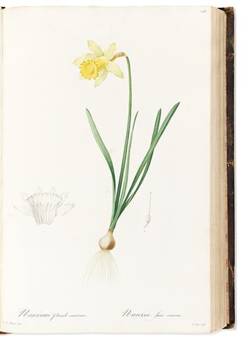 (BOTANICAL.) Pierre-Joseph Redouté. Les Liliacées (volumes 3 and 4).